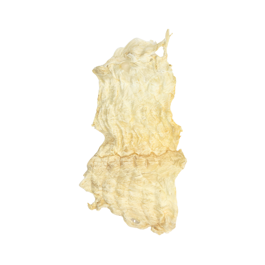 森源 咸水鱷魚肉乾