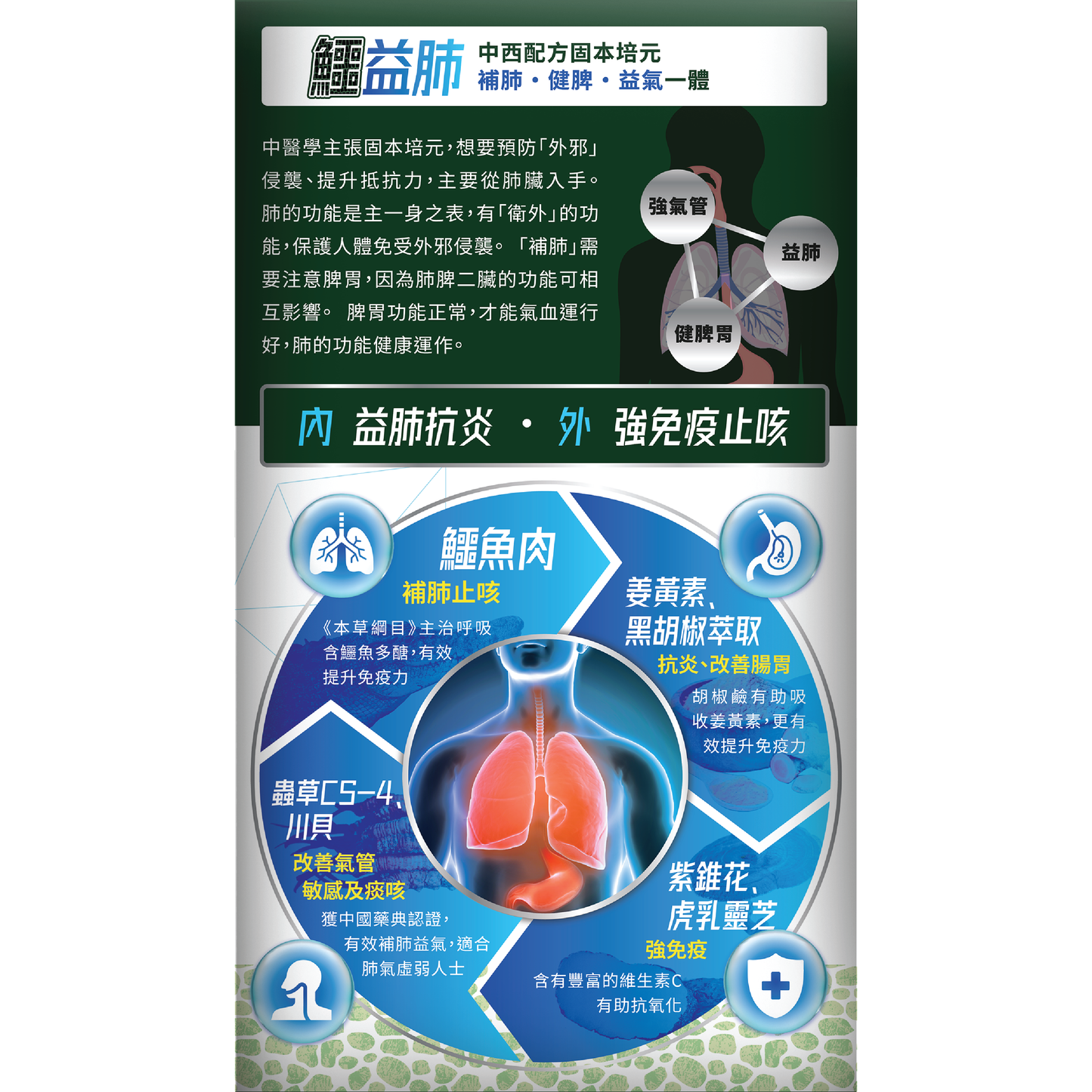 森源 鱷益肺
